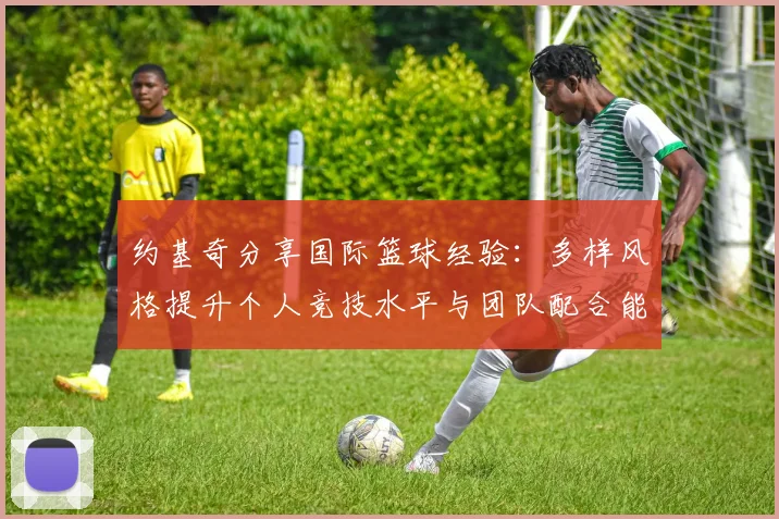 约基奇分享国际篮球经验：多样风格提升个人竞技水平与团队配合能力